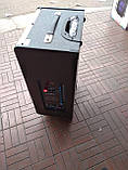 Портативна колонка з мікрофонами Feiyang QX-1208 250 W (USB/Bluetooth/Пульт ДК), фото 4