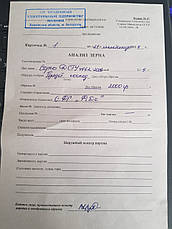 Сорго біле, врожаю 2019, фото 2