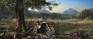 Новый патч для Days Gone сильно уменьшает размер игры