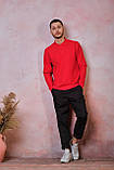 Мужская футболка-поло POLO REGULAR MAN LS цвет красный (RD), фото 3