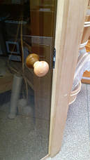 Двері для лазні та сауни ANDRES Scan, фото 4