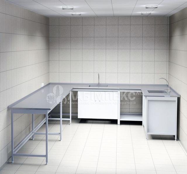 Столы-мойки лабораторные СМЛ-1. СТАНДАРТ Столы-мойки лабораторные СМЛ-1. СТАНДАРТ