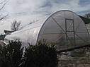 Теплиця КОМБІ 5х10 плівка + торці полікарбонат, фото 2