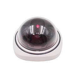 Муляж камери Wsdcam MR-2504 Біла