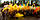 Фарба Холі, Набір 12 кольорів, пакети 100 грам, опт та роздріб, фото 3
