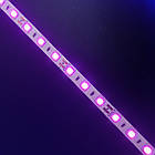 Світлодіодна стрічка 14 Вт 60 LED, 12 В IP20 5 м/упак. рожева 5050, фото 6