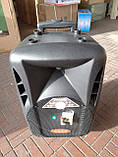 Портативна колонка з мікрофонами Langting SL1007 (120W/USB/Bt/Fm), фото 3