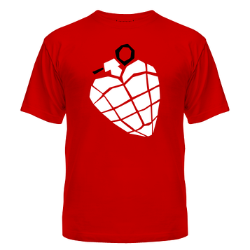 Футболка Green day american idiot