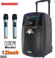 Акустика автономная Temeisheng SL 12-01