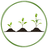 Регулятори росту рослин