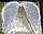 Крила Ангела (малюнок нанесений глітером) два варіанти напилення - №2, фото 5