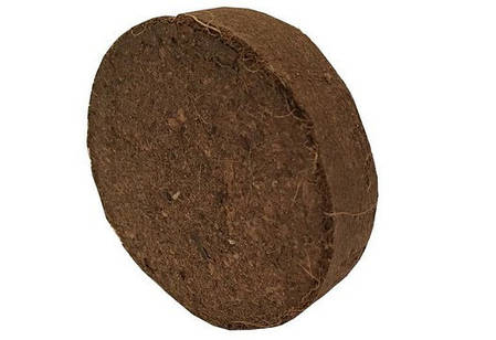 Кокосові диски 10 шт (0,65 кг), фото 2