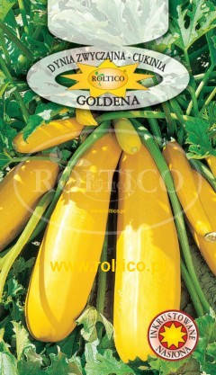 Насіння кабачка Goldena - Голдена 2г ТМ ROLTICO, фото 2