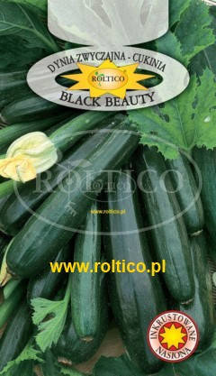 Насіння кабачка Black Beaty - Блек Бьюті 2г ТМ ROLTICO, фото 2