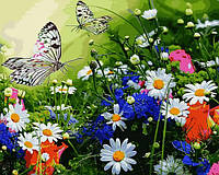 Картина по номерам Babylon Цветочное поле и бабочки (VP1254) 40 х 50 см