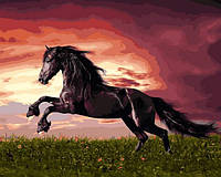 Картина по номерам Babylon Прыжок лошади (VP1257) 40 х 50 см
