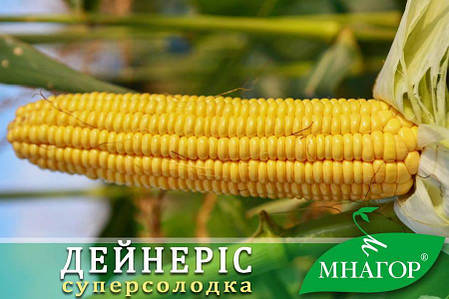 Насіння кукурудзи цукрової Дейнеріс (Барселона) F1 200шт ТМ МНАГОР, фото 1