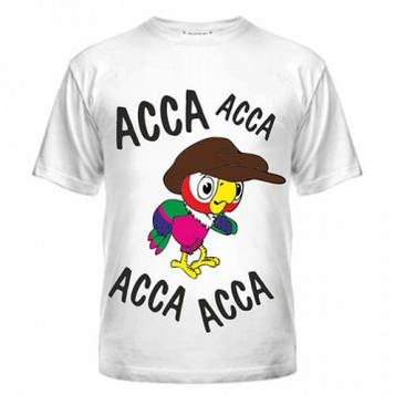 Футболка Асса