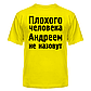 Футболка бавовняна короткий рукав із написом Андреем не накличуть, фото 4