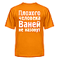 Футболка Ваней не накличуть, фото 6