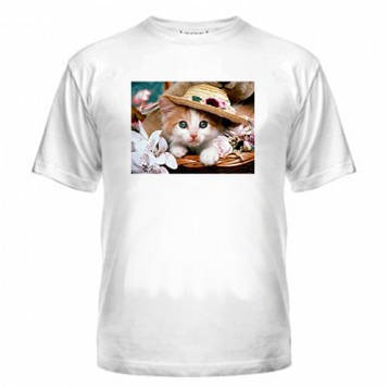 Футболка Кошеня в капелюсі