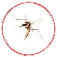 Засоби захисту від комарів, москітів, кліщів, ос, мошок, гедзів