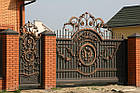 Ковані ворота, фото 2