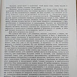 Підлогу шлюб сім'я під ред. Попхристова П., фото 5