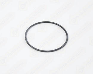 Ущільнювальне кільце витратоміра повітря на Renault Talisman 2015-> - Renault (Оригинал) - 8200012626