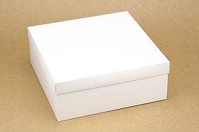 Коробка "ГифтБокс" М0069-о2 біла, розмір: 250*250*100 мм