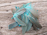 Пір'я для декору, перехід кольору, 20 шт\уп., р-ри 13-17 см, фото 3