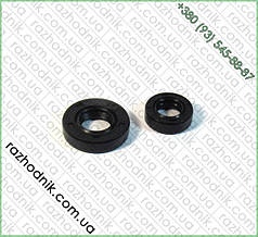 Сальники на Бензокосами (пара)