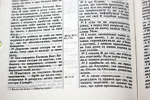 Укр. Біблія малого формату Огієнко (чорна з червоною смужкою, шкірзам, золото, індекси, блискавка, 13х19), фото 5