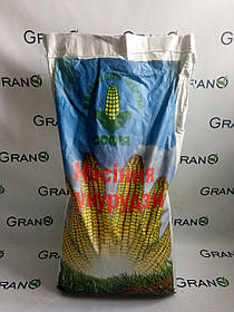 Насіння кукурудзи Голосіївський 260 СВ