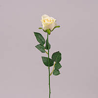 Троянда, бутон, Н62 см, крем, Штучна квітка, Дніпро