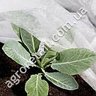 Агроволокно Agreen укрывное біле щільність 17 пакет 3.2х10 м, фото 2