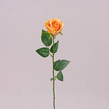 Троянда, бутон, Н56 см, крем, Штучна квітка, Дніпро, фото 4