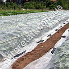 Агроволокно Agreen укрывное біле щільність 30 pack 3.2х10 м, фото 3