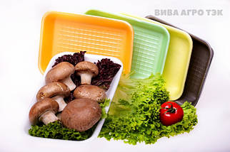 Лоток Т-3-20 (у пакованні 300 шт.)