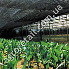 Затіняюча сітка зелена 45% тіні ширина 2 м на метраж Agreen, фото 6