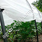 Міні-теплиця сірі дуги плюс агроволокно щільність 30 Agreen 9 м, фото 4
