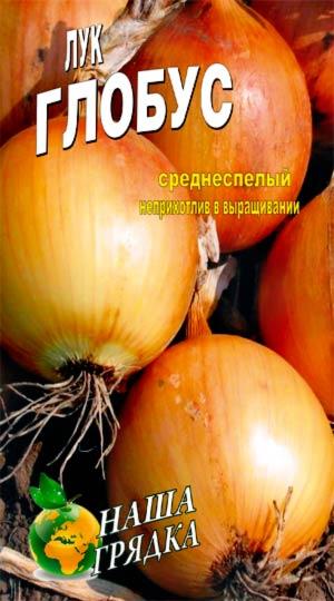 Лук Глобус пакет 3 г. насіння