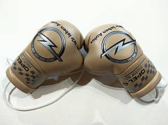 Боксерські рукавички в машину 149