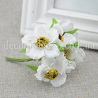 Мак дикий. Білий.