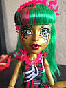 Монстр Хай Джинафаер Лонг Лялька Monster High Jinafire Long Freak Du Chic CHX96, фото 4