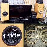 Решітка на грилі динаміки., фото 4