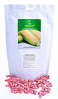 Цукрова кукурудза Чемпіон F1, Sh2-тип, 1000 насінин на 1.5 сотки, 76-78 днів, раньостиглий