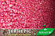 Цукрова кукурудза Дейнеріс (Барселона) F1, Sh2-тип, 1000 насінин на 1.5 сотки, 65-68 днів, ультраранній, фото 5