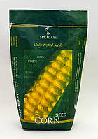Сахарная кукуруза Дейнерис (Барселона) F1, Sh2-тип, 20 000 семян на 30 соток, 65-68 дней, ультраранний Мнагор