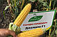 Цукрова кукурудза Джамала F1, Sh2-тип, 4000 насінин на 6 соток, 73-75 днів, фото 2